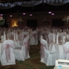 Wow Weddings Chair Covers 6 image